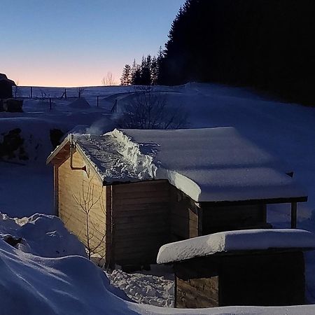 Petit Chalet Nature Les Rousses Exterior foto